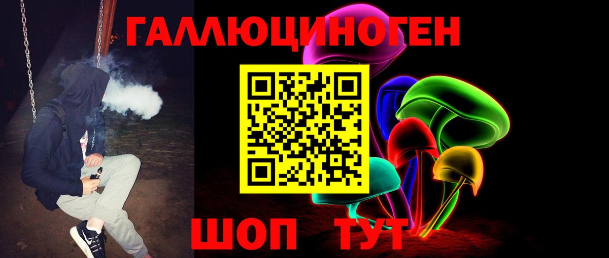 Кирово-Чепецк  Галлюциногенные грибы Psilocybine cubensis  Вход с VPN 