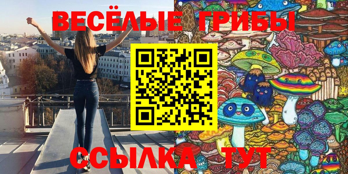 Псилоцибиновые грибы Psilocybine cubensis Кирово-Чепецк